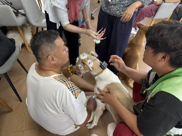 申不雅察 | “爪爪疗愈师”，“破冰”自在孤身一人症